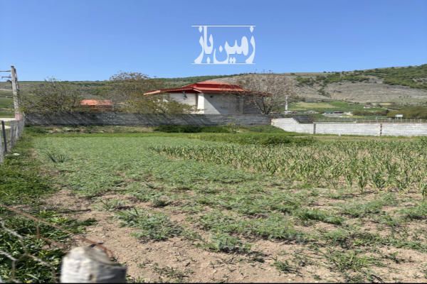 زمین مسکونی در دودانگه فریم روستای شلدره ۳۰۰ متر-4