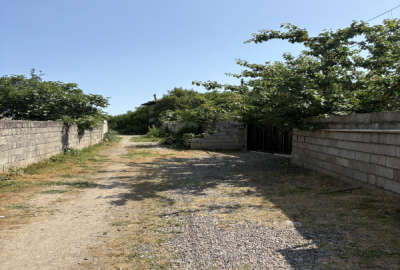 باغ پرتقال واقع در سلیمان اباد تنکابن ۳۰۰ متر