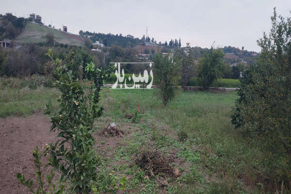 زمین مسکونی داخل بافت روستای اسبورز ۳۰۰ متر-1