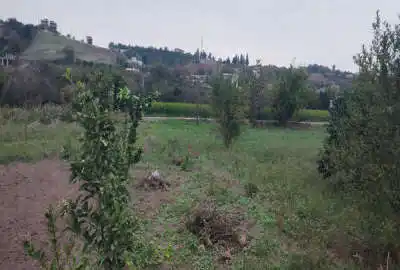 زمین مسکونی داخل بافت روستای اسبورز ۳۰۰ متر