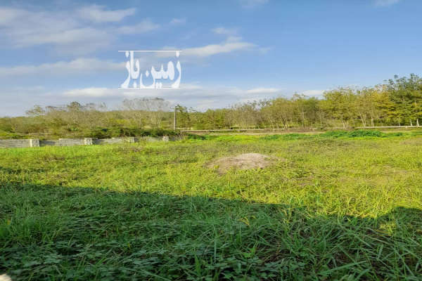 زمین ۷۲۰متر باغی داخل طرح لاهیجان بازکیاگوراب چفل-2