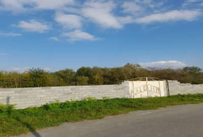 زمین ۷۲۰متر باغی داخل طرح لاهیجان بازکیاگوراب چفل