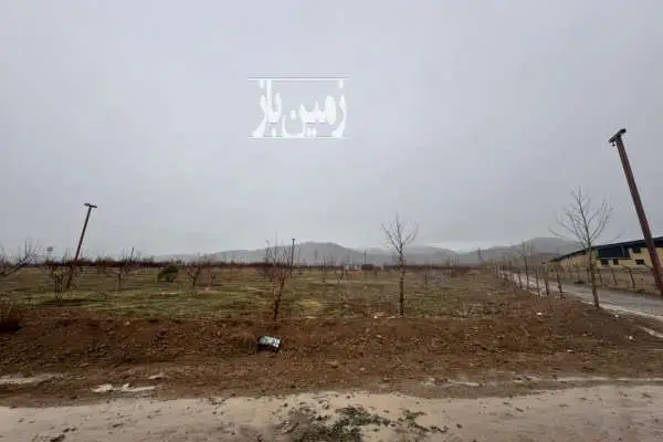 زمین مزروعی در شنده خیابان نیاوران ۱۲۵۰ متر - تصویر 2