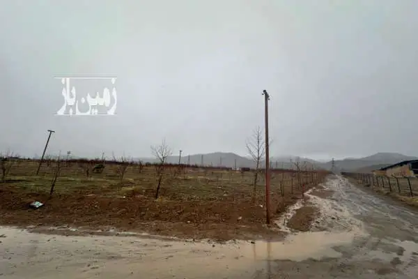 زمین مزروعی در شنده خیابان نیاوران ۱۲۵۰ متر - تصویر 4