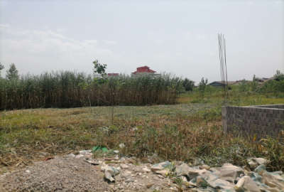 زمین مسکونی رشت نخودچر ۲۱۴ متر