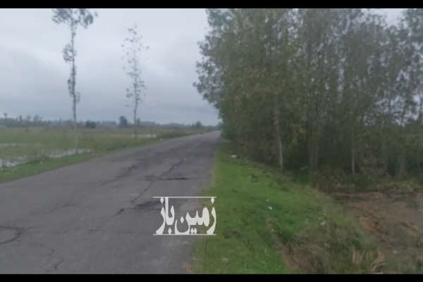 زمین شالیزار ۸ هکتار برآسفالت-1