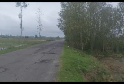 زمین شالیزار ۸ هکتار برآسفالت