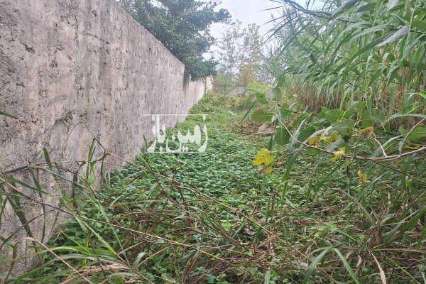 زمین ۲۰۰۰ متر بین سنگر و کوچاصفهان ویشکاننک-4