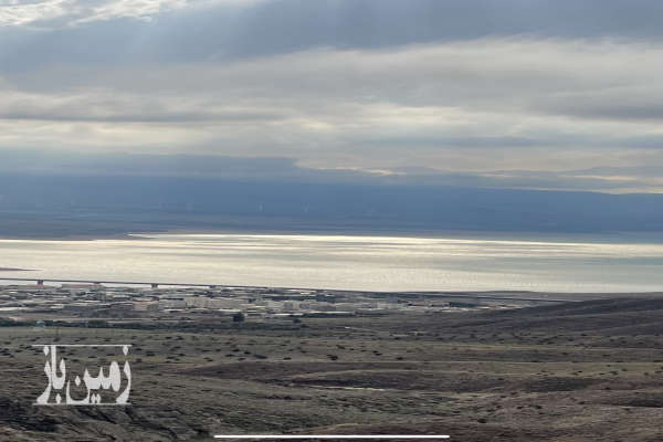 باغ زیتون بر اتوبان رشت ۲۰ هکتار-1