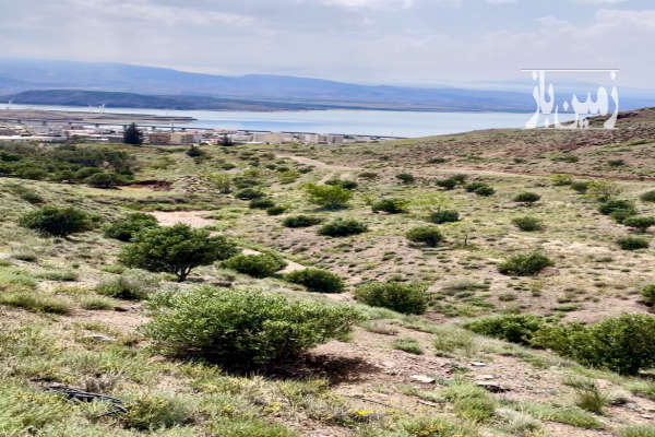 باغ زیتون بر اتوبان رشت ۲۰ هکتار-2