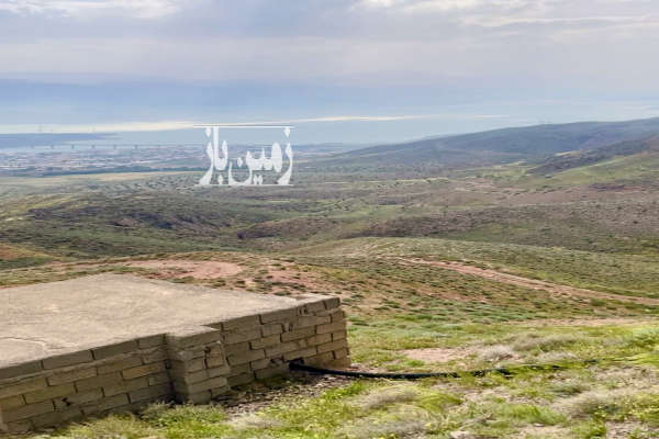 باغ زیتون بر اتوبان رشت ۲۰ هکتار-3