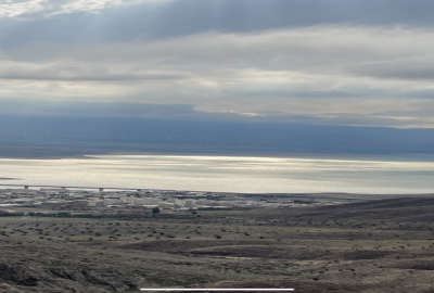 باغ زیتون بر اتوبان رشت ۲۰ هکتار