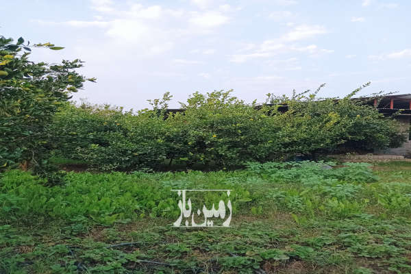 زمین باغی و مسکونی دارای بنای ۱۱۰۰ متر-4