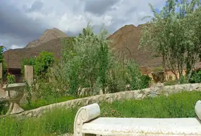 باغ در اسلامیه تفت ۲۵۰۰ متری همراه بنای نقلی