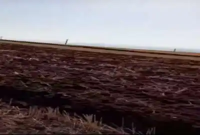زمین حاصل خیز منطقه اوچ تپه روستای کلوچه اسلام ۲ هکتار