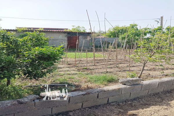 زمین مسکونی بابل محله قصاب امیر ۲۰۰ متر-4