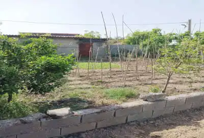 زمین مسکونی بابل محله قصاب امیر ۲۰۰ متر