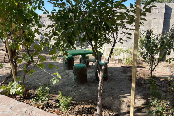 زمین قوچان بعد از ناصریه خرابه امین ۵۰۰ متر-2