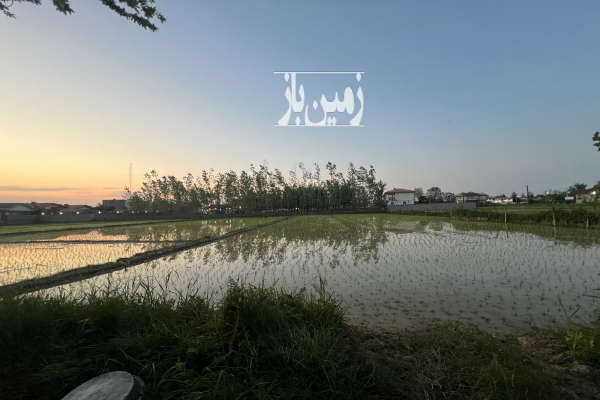 زمین باغی در نزدیکی سده خاکی سقالکسار ۲۶۴ متر-1