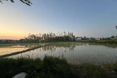 زمین باغی در نزدیکی سده خاکی سقالکسار ۲۶۴ متر