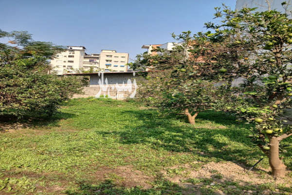 زمین داخل بافت اسکندر کلا ۳۸۵ متر-3