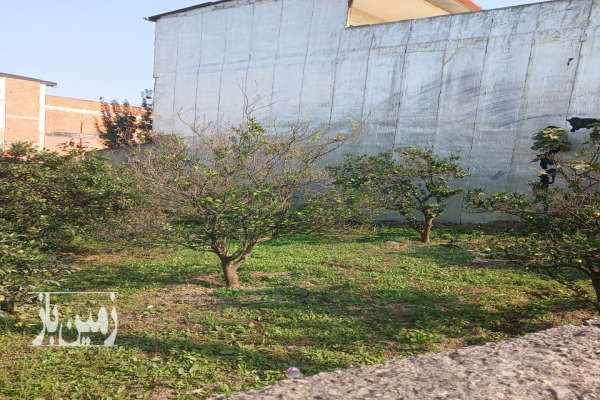 زمین داخل بافت اسکندر کلا ۳۸۵ متر-4