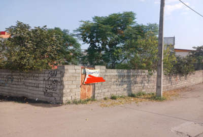 زمین داخل بافت اسکندر کلا ۳۸۵ متر