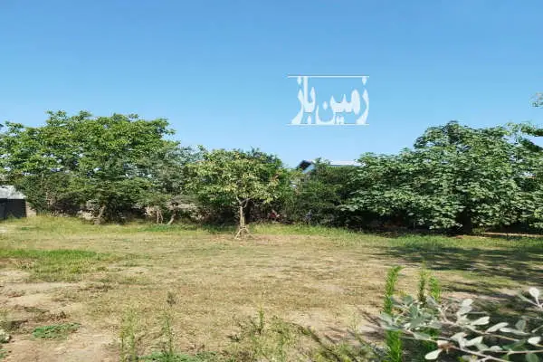 زمین ۶۱۳ متر ۳۵ کیلومتری آستارا بخش حویق - تصویر 2