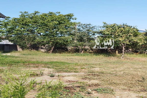 زمین ۶۱۳ متر ۳۵ کیلومتری آستارا بخش حویق-3