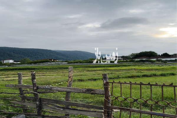 زمین ۳۰۷ متری در ملاکلا نوشهر نزدیک به دریاچه آویدر-1