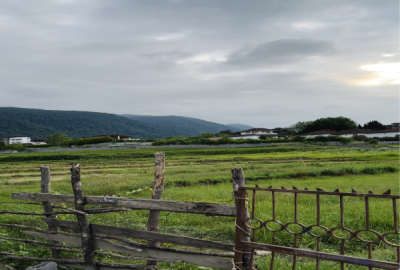 زمین ۳۰۷ متری در ملاکلا نوشهر نزدیک به دریاچه آویدر