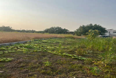 زمین مسکونی بر جاده کمربندی سمسکنده به خزر ۲۱۱ متر