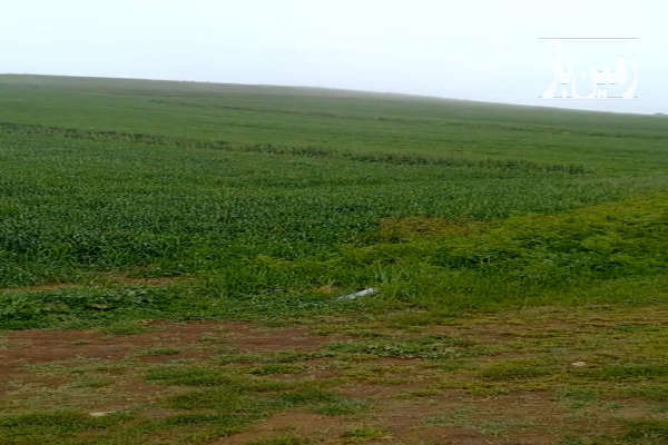 یک هکتار زمین برجاده اصلی سد سلیمان تنگه-3