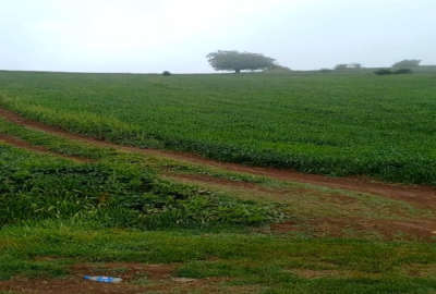 یک هکتار زمین برجاده اصلی سد سلیمان تنگه