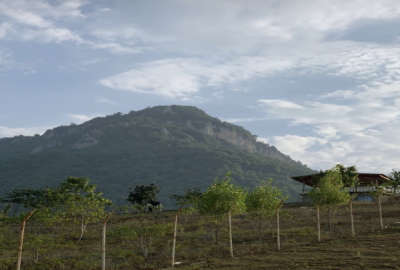 زمین در روستای توریستی پاقعله ۵۰۰ متر