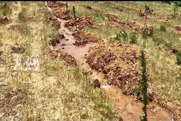 زمین کشاورزی دشت لوین جاده سیلو ۵۰۰۰ متر-2