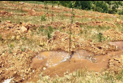 زمین کشاورزی دشت لوین جاده سیلو ۵۰۰۰ متر
