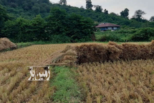 زمین مسکونی کوهپایه ای با بنا سنتی حومه ماسال ۲۷۰ متر-2