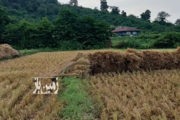 زمین مسکونی کوهپایه ای با بنا سنتی حومه ماسال ۲۷۰ متر - تصویر 2