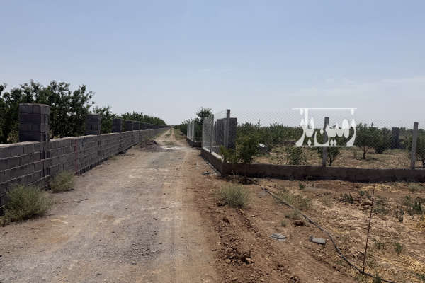 زمین باغی اتوبان ساوه بعد از پرند مامونیه ۵۰۰ متر-4