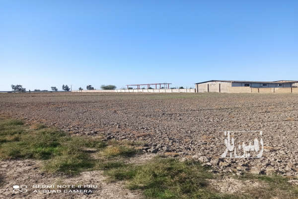 زمین ۶۲۵ متر روستای نیازآباد نزدیک جاده اصلی-2