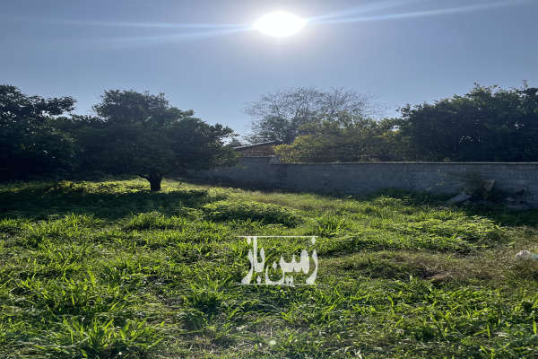 زمین کمربندی امام زاده عبدالله روستای کاسمده ۲۹۸ متر-2