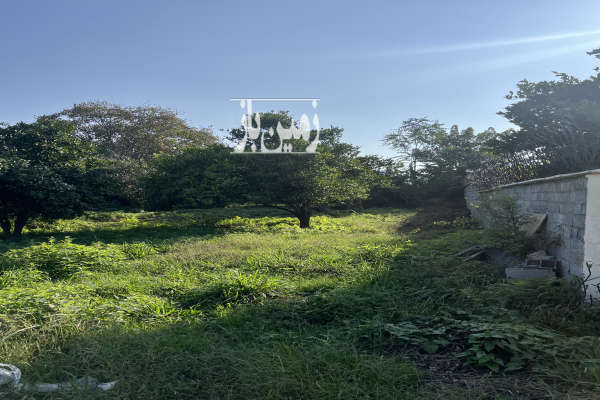 زمین کمربندی امام زاده عبدالله روستای کاسمده ۲۹۸ متر-3