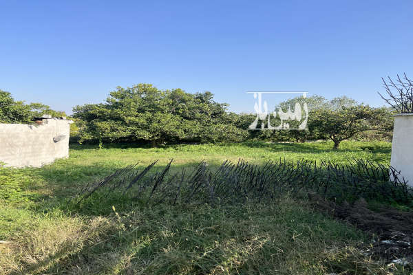 زمین کمربندی امام زاده عبدالله روستای کاسمده ۲۹۸ متر-4