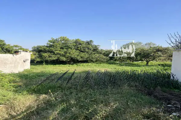 زمین کمربندی امام زاده عبدالله روستای کاسمده ۲۹۸ متر - تصویر 3