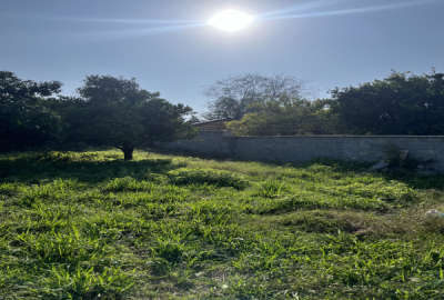 زمین کمربندی امام زاده عبدالله روستای کاسمده ۲۹۸ متر