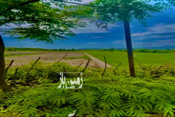 زمين واقع در قنبر محله سيبلى ۱۱۰۰ متر-2