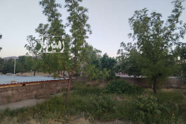 باغ فروشی محدوده روستای شمس آباد بیرجند ۱۴۰۰ متر-2
