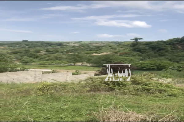 زمین ۳۰۰۰ متر ویو ابدی در ساری-1