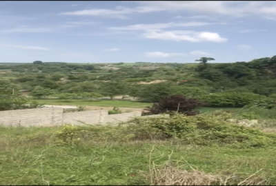 زمین ۳۰۰۰ متر ویو ابدی در ساری